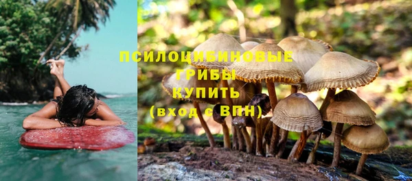 MDMA Premium VHQ Алексеевка