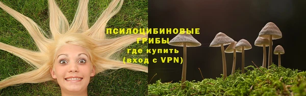 mdpv Алексин