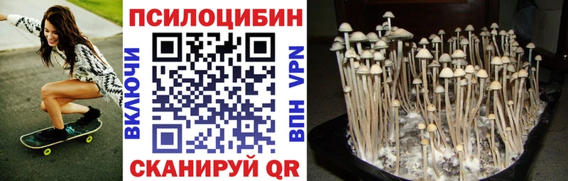 купить  цена  Уссурийск  Псилоцибиновые грибы прущие грибы 
